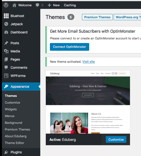 Customize WordPress theme