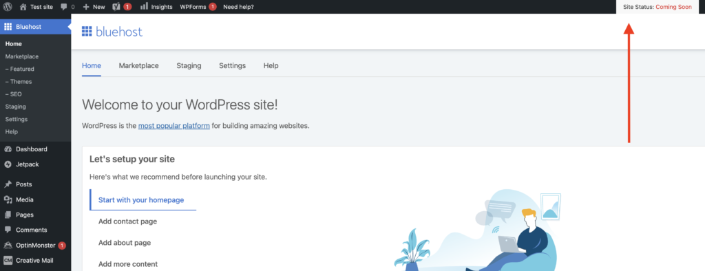Site status in Bluehost dashboard