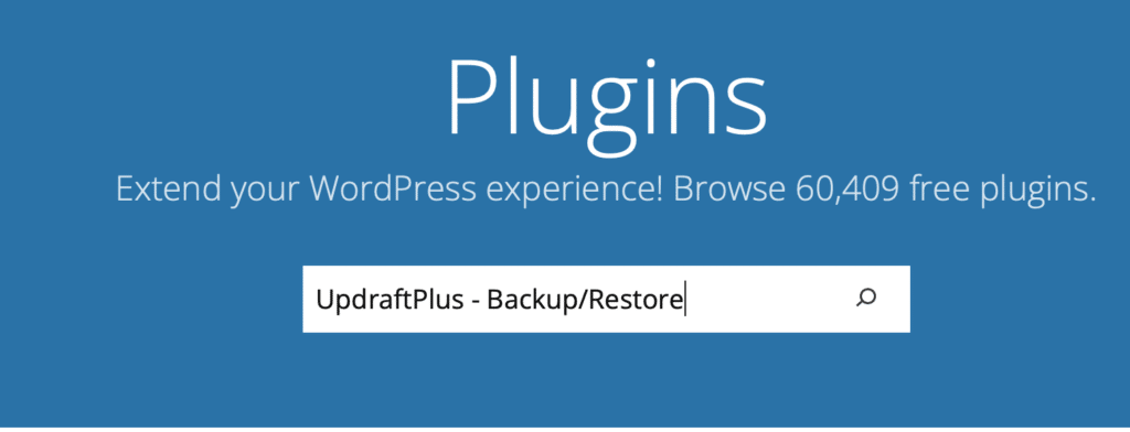 searching for a plugin in WordPress plugin 