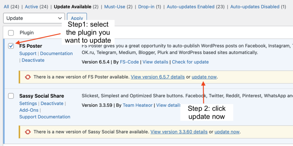 Update WordPress plugin step 1