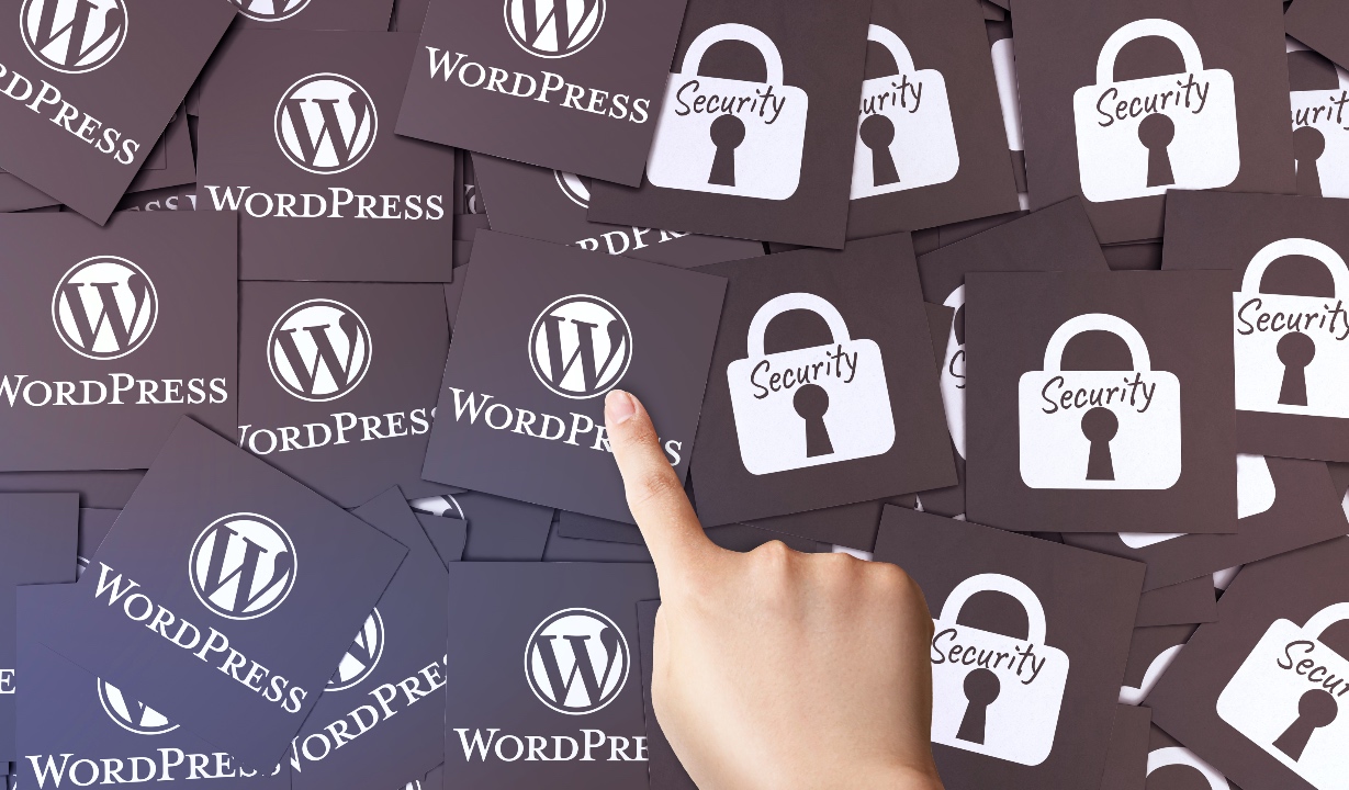 WordPress security